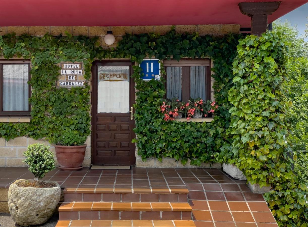 Hotel Rural "La Ruta De Cabrales" Mestas De Con Exterior photo